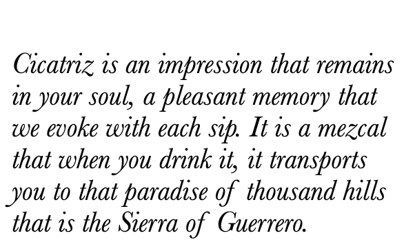 Cicatriz is an impression that remains in your soul, a pleasant memory that we evoke with each sip. It is a mezcal that when you drink it, it transports you to that paradise of thousand hills that is the Sierra of Guerrero.